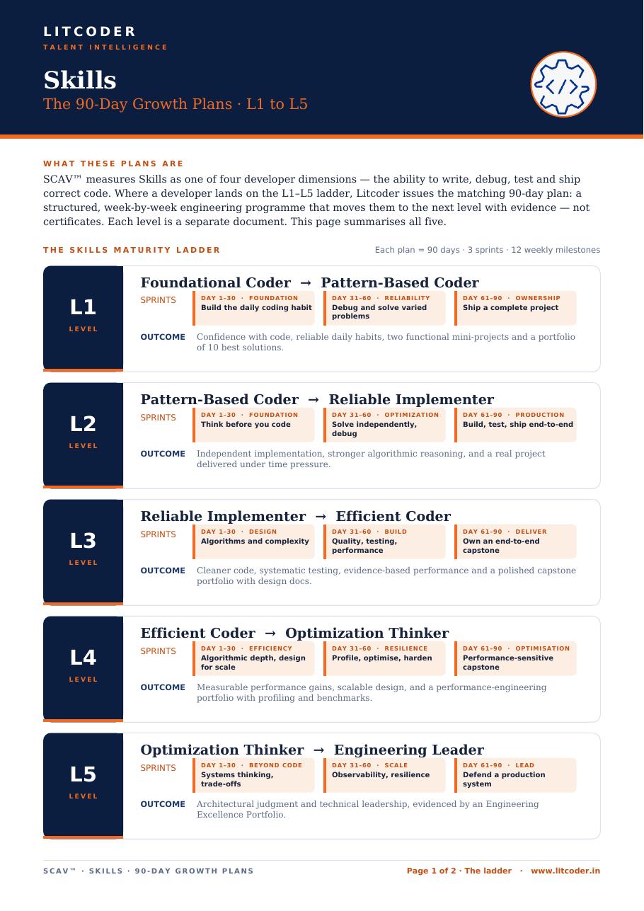 SKILLS 90-day plan summary snapshot